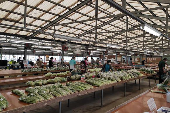 Fresh vegetables at the Kariyushi-ichi farmers' market