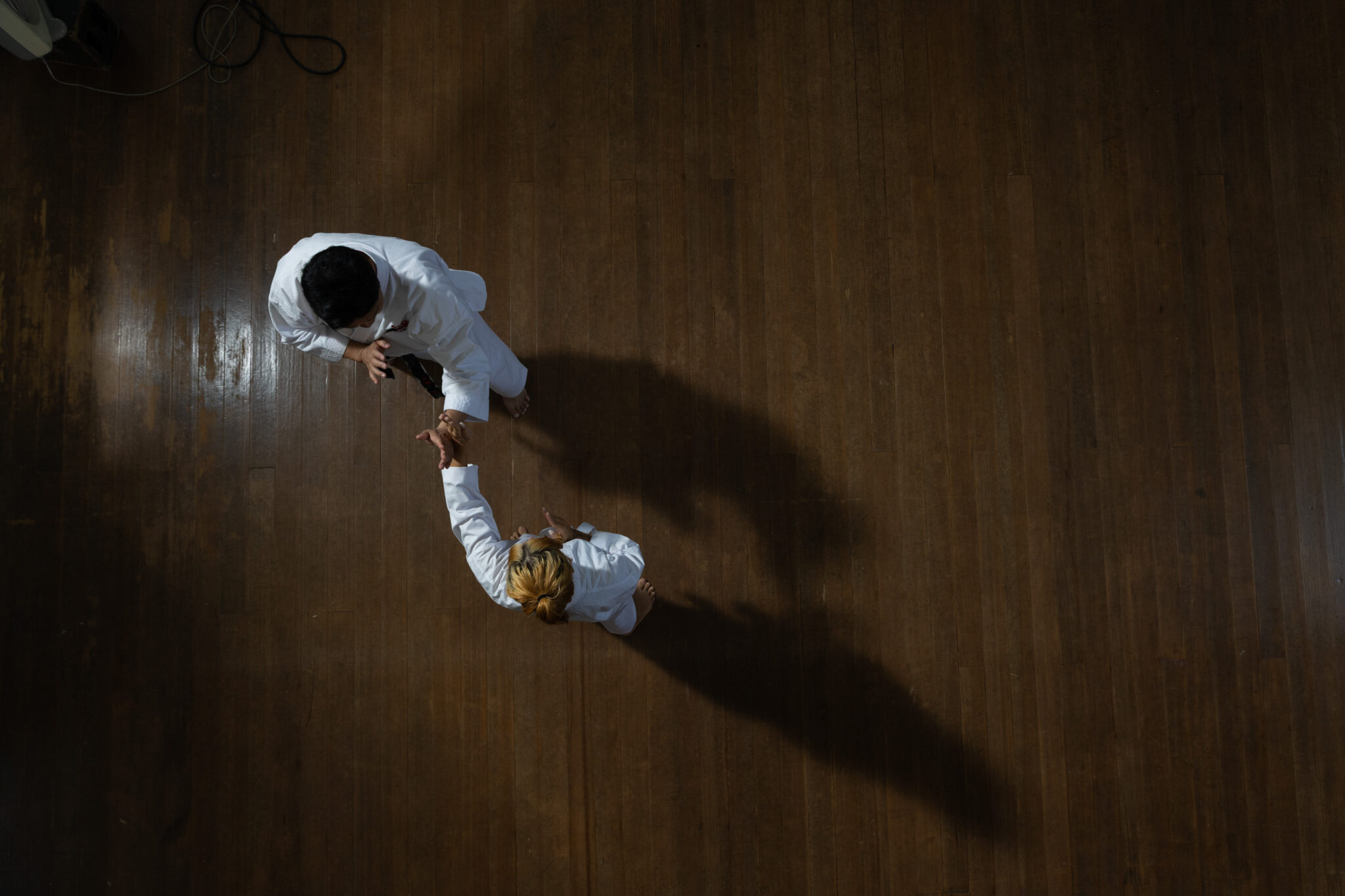 Two karateka bowing to each other on a dark wooden dojo floor, seen from above