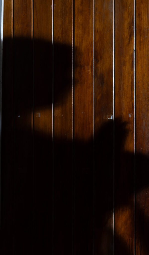 Shadow of a karateka on a wooden dojo wall