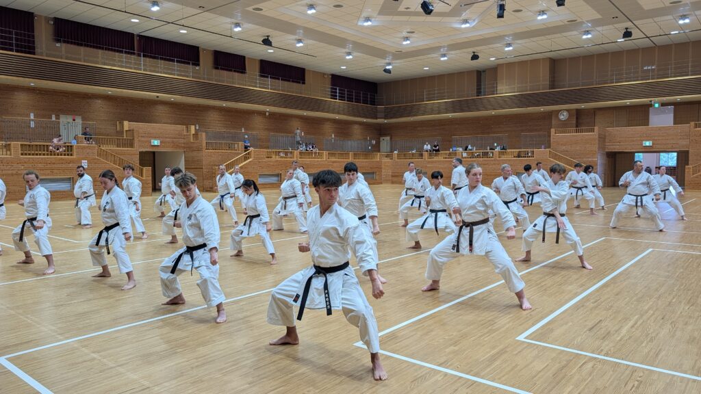 Karate group training in rows in a large sports hall