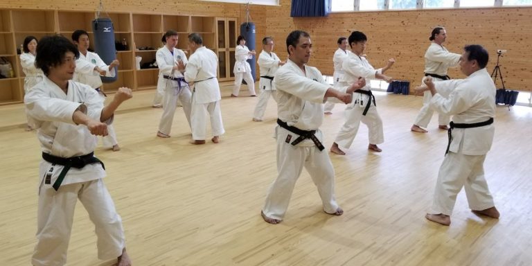 Shito-ryu practitioners training Goju-ryu with Gima Sensei