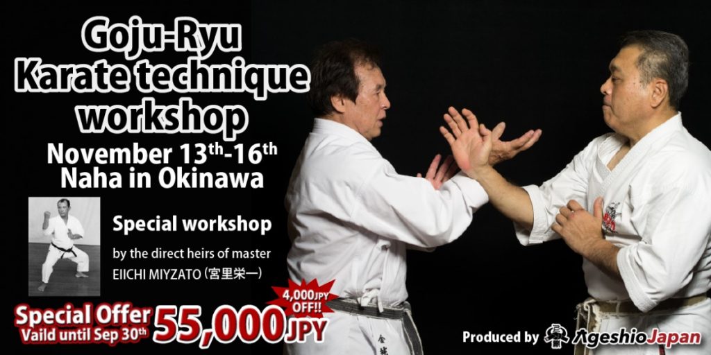 Poster for the Eiichi Miyazato karate technique workshop, November